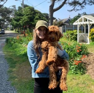red Oregon Australian Labradoodles