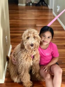 Valley Vineyard's Roo has retired Valley Vineyard