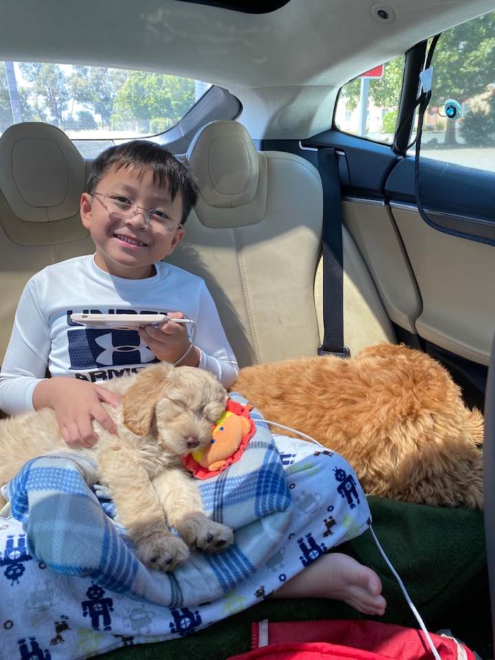 Lucy With Her New Boy