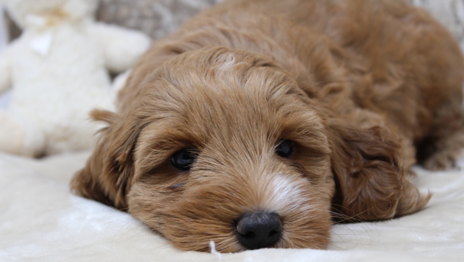 Seven Weeks Feature Cassie