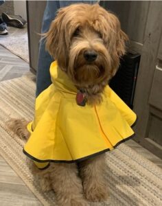 Emma Raincoat 236x300