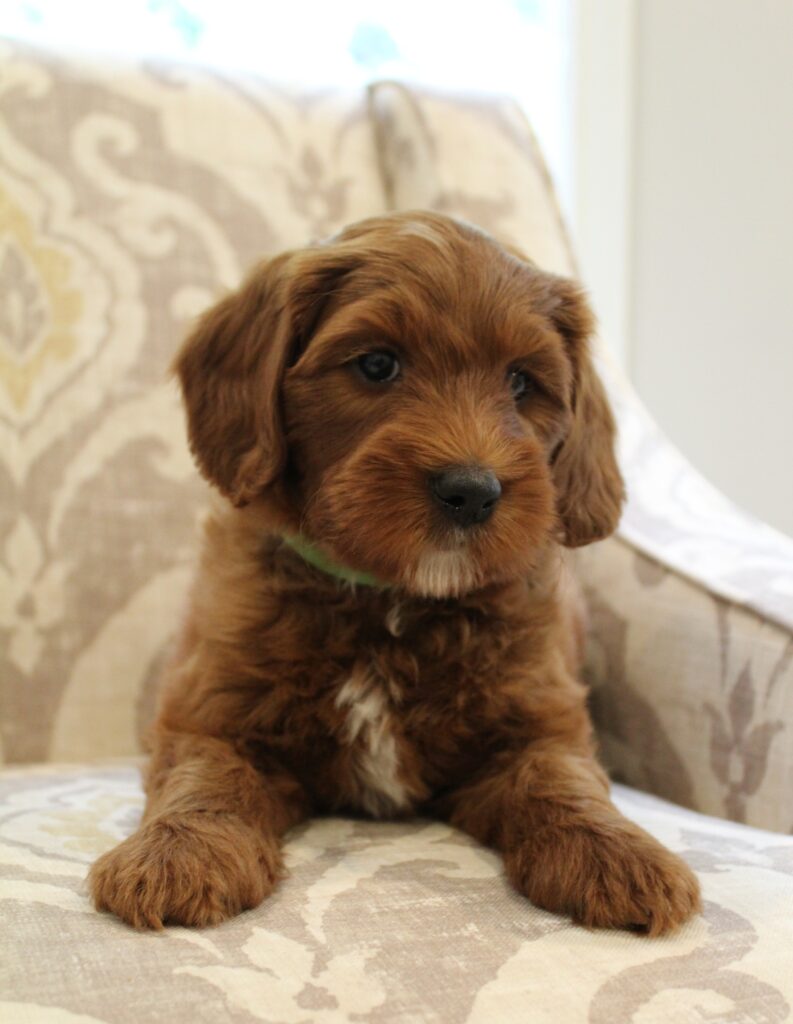 Seven Weeks Sailor 793x1024